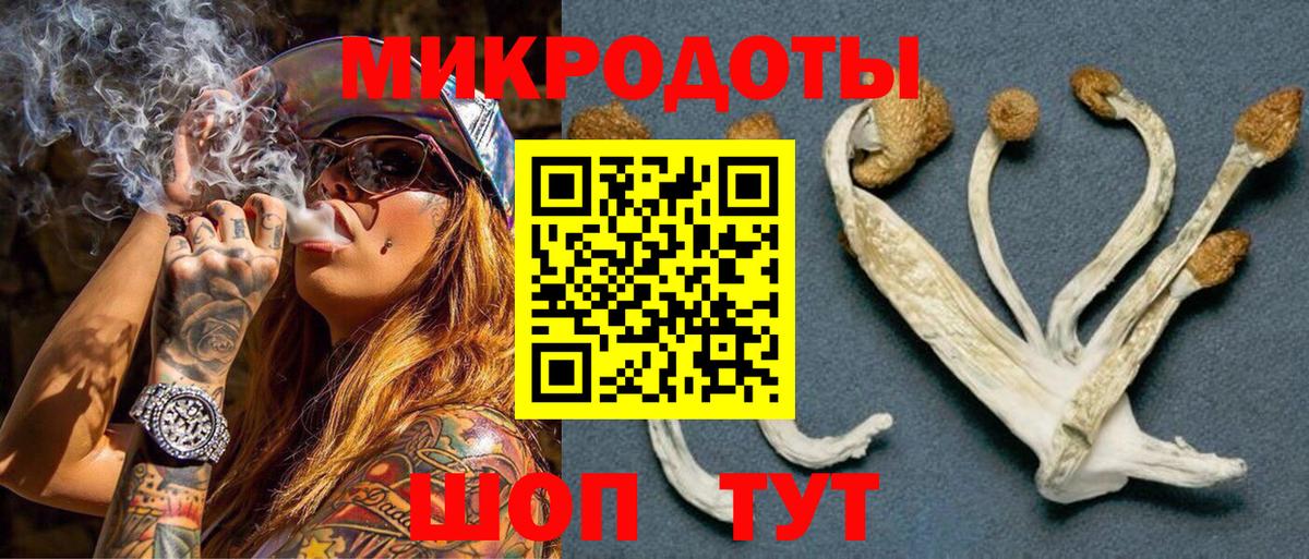 Ахтубинск  Галлюциногенные грибы Magic Shrooms  Галлюциногенные грибы Psilocybine cubensis  Вход с VPN 